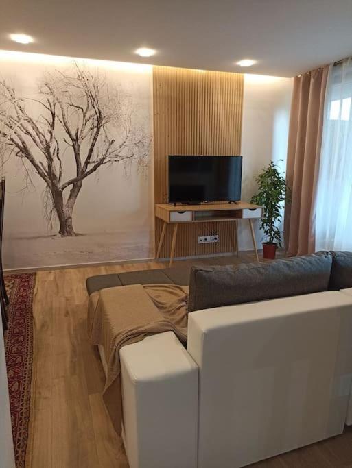 Tres Bel Appartement Rez De Jardin Appart De 53M2. Pfastatt المظهر الخارجي الصورة